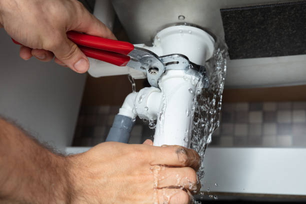Best Flooded house restoration  in Union Grove, WI