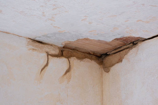 Best Sewage cleanup and water damage restoration  in Union Grove, WI