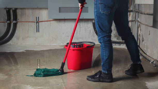 Best Water damage contractors near me  in Union Grove, WI