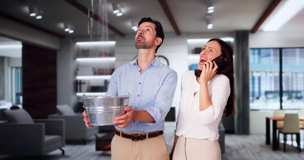 Best Local water damage restoration  in Union Grove, WI