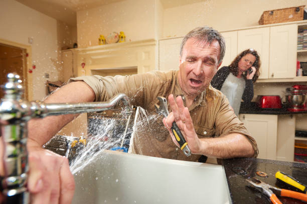 Best Professional water damage repair  in Union Grove, WI